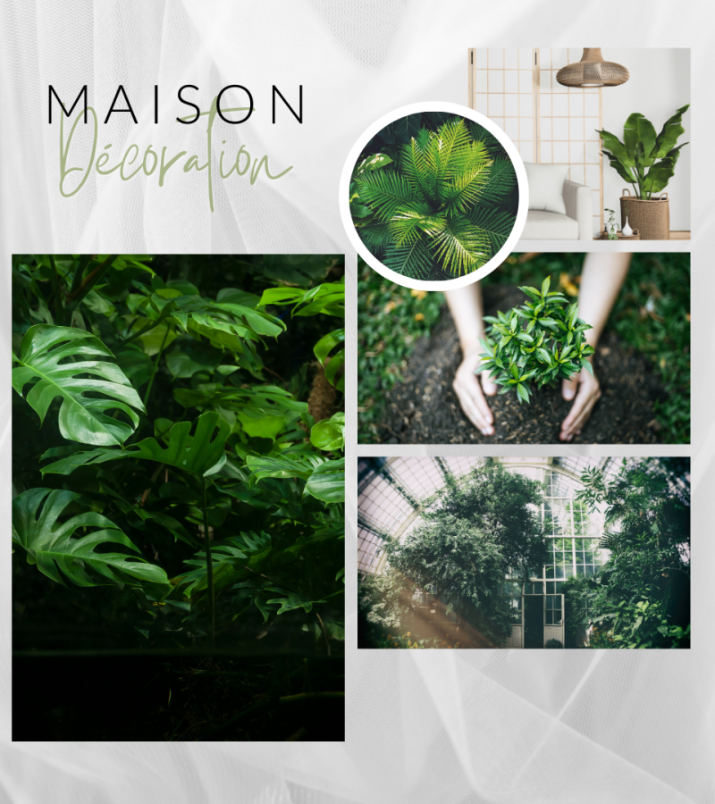 Design végétal site